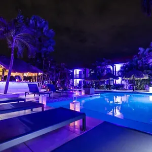 Van Gogh Aruba , Palm Beach Aruba